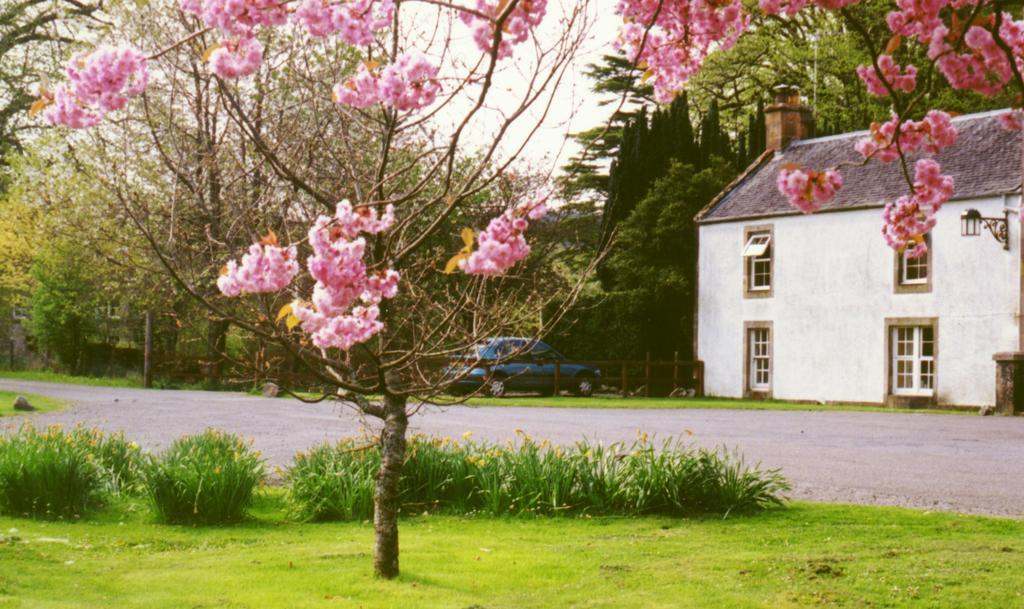 Inverawe Cottages Taynuilt Ruang foto