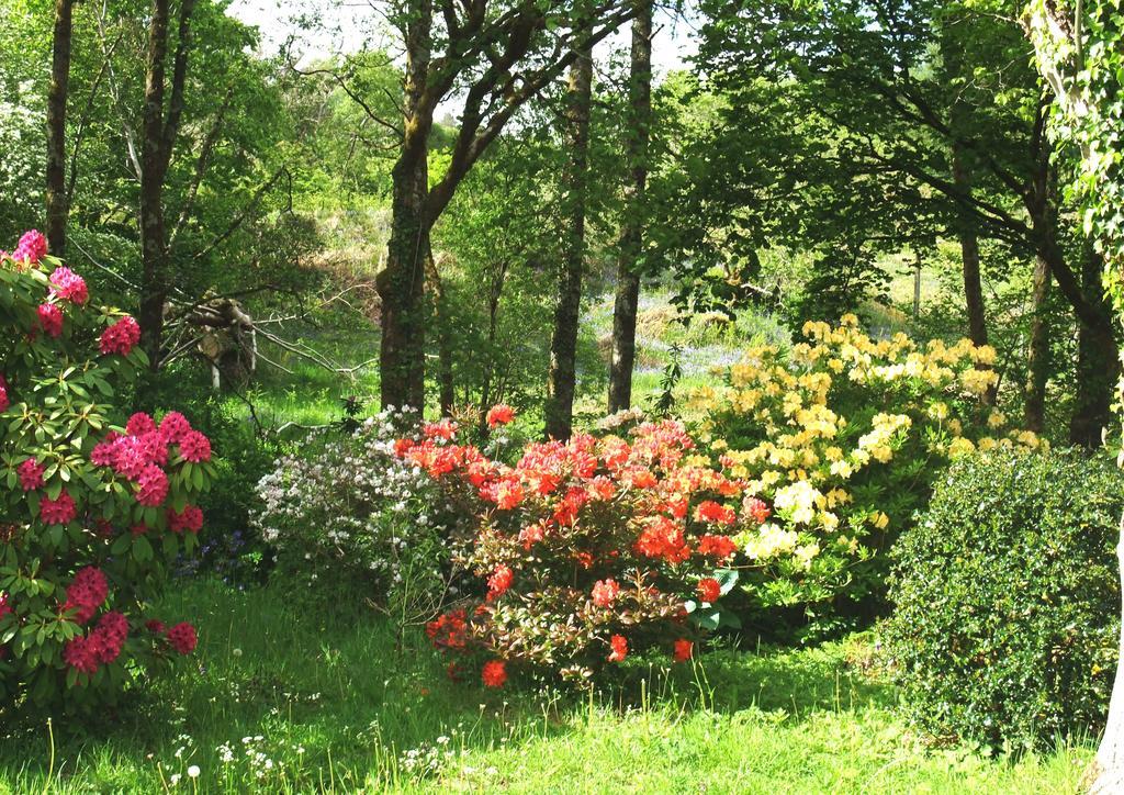 Inverawe Cottages Taynuilt Bagian luar foto